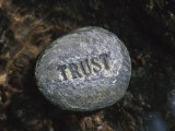 010426_0732_0022_nshs-fb_brock-with-the-word-trust-in-water-posters